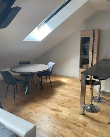 Magnifique Loft Centre Apartment